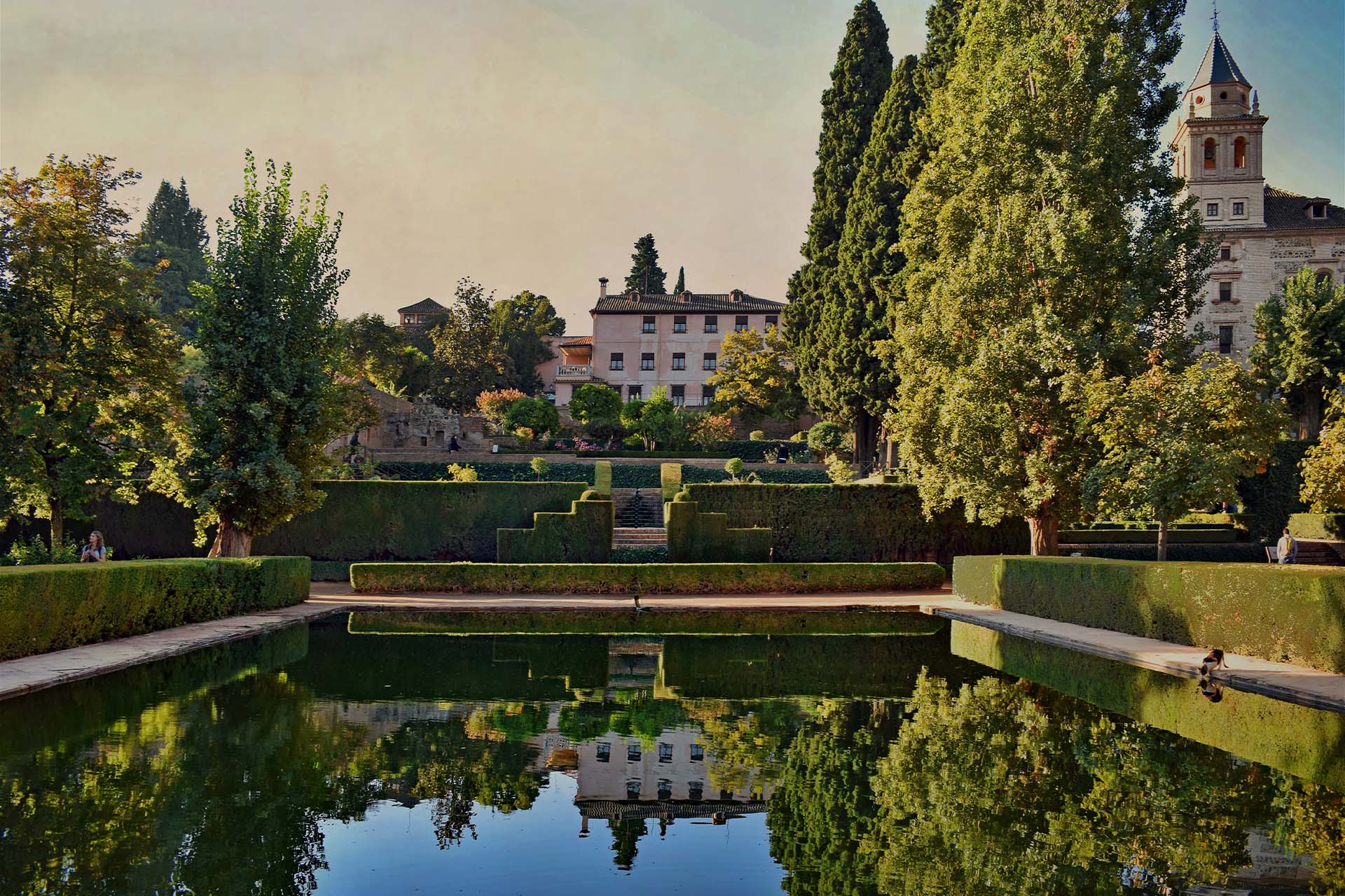 Many trees all around an apparent castle.