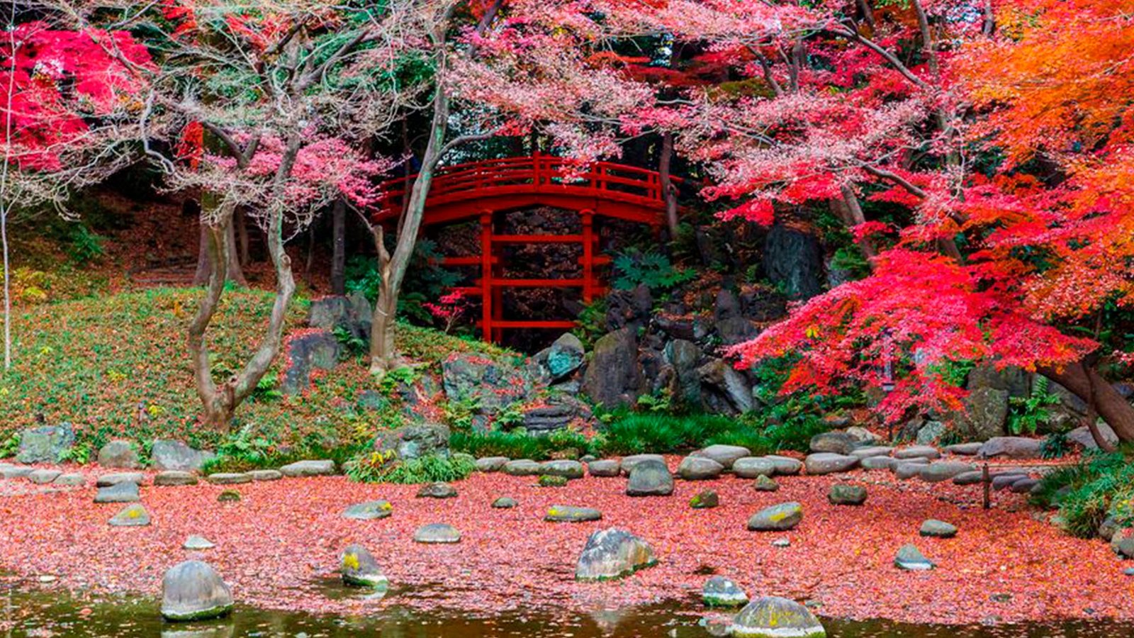 Top 10 Most Beautiful Gardens in the World to see Today